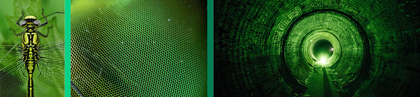 Dragonfly AI Banner Graphic