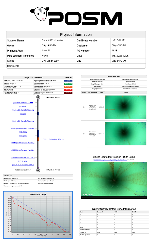 POSM HTML5 inspection reports