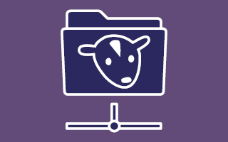 File Server
